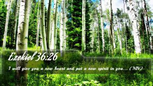 Ezekiel 36:26 - Bible Verse Quote by bible-quote