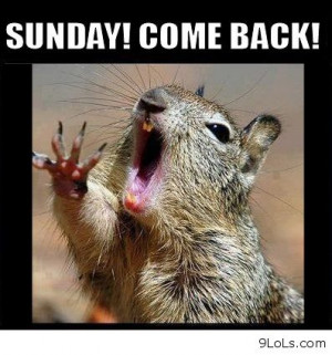 daily quotes, derp and derpina, funny animals, funny cartoons, funny ...