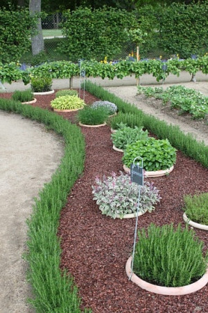Herb garden design