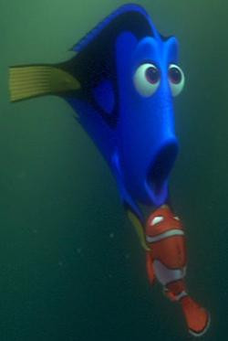 Nemo-%26-Dory_5.JPG