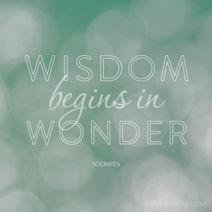 Wisdom begins in Wonder” life philosophy quote by Socrates.