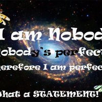 nobody perfect quotes photo: Nobody's perfect WhatAstatement.jpg