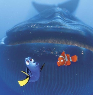 Finding Nemo Marlin Quotes Kootation