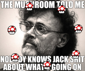 ... what does it push toward?” — Terence McKenna, True Hallucinations