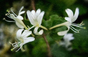 Google Image Result for 3.bp.blogspot.com...