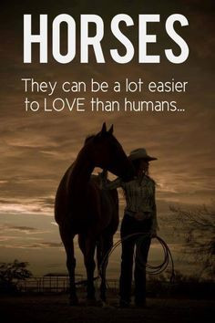 Horse Quotes And Sayings (4)