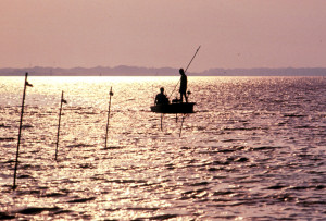 The 2009 shrimp baiting season will open at noon Friday, Sept. 11 in ...