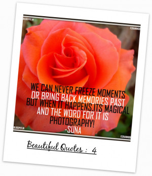 photography+quotes+roses+quotes+orange+rose+beautifull+quotes+about ...