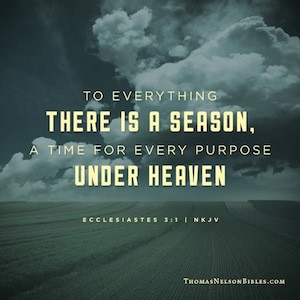 Tag Archives: Ecclesiastes 3:1-3