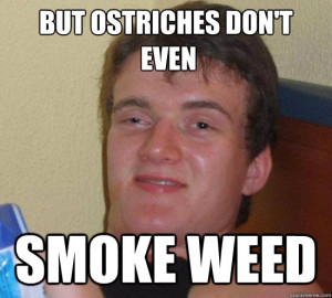 ... Pictures don t always smoke weed but when i do i inhale the most