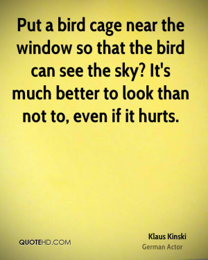 Put a bird cage near the window so that the bird can see the sky? It's ...