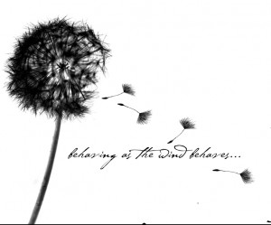 Pin Dandelion Tattoos Designs And Meaning Leaftattoocom on Pinterest
