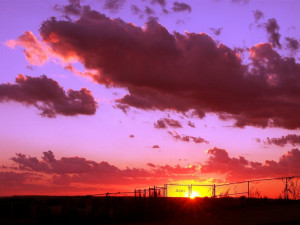 Subscribe to my RSS Feed