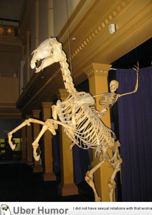 ... of the Australian Museum. A human skeleton riding a horse skeleton