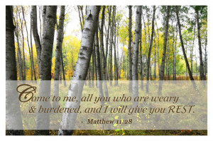 Credits: http://mscrys.deviantart.com/