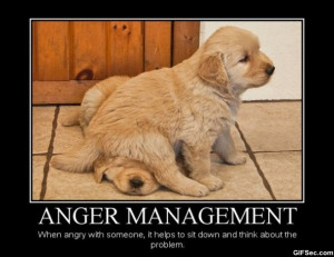 Demotivational Posters – Anger Management