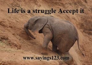 Life Is a Struggle Accept It ~ Life Quote