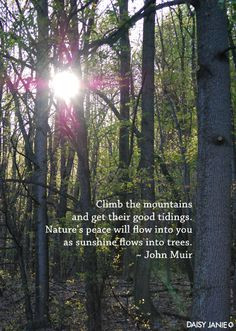 Climb the mountains and get their good tidings. Nature's peace will ...