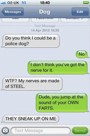 funny texts from dog, farting