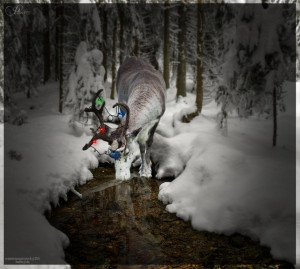 Winter Wonderland Deer by Sarlen