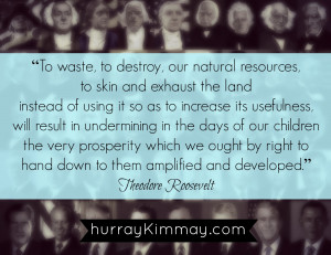 Teddy Roosevelt quote via Hurray Kimmay