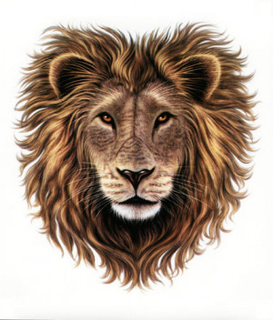 The heart of a lion