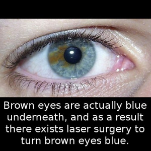 Did you know that Brown Eyes are actually blue underneath, and as a ...