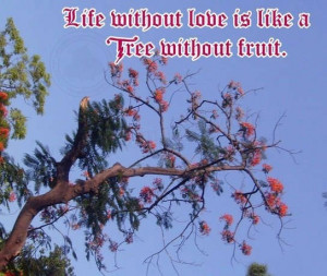 quotes and sayings about life and love. life quotes and sayings