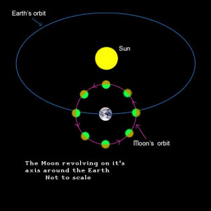 Moon Orbit around Earth