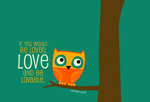 Love Owl Themed Sayings