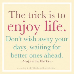 Enjoy Life Quotes, Enjoy Quotes, Life Quotes