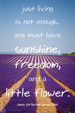 Just living is not enough… one must have sunshine, freedom, and a ...