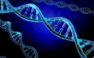 Children could have DNA tested at birth