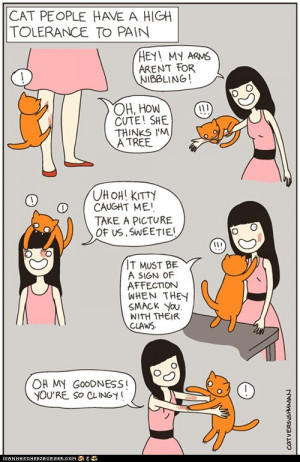 funny pictures no one knows pain like a crazy cat lady