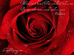 sayings, sayings wallpapers, beautiful quotes wallpapers, rose quotes ...