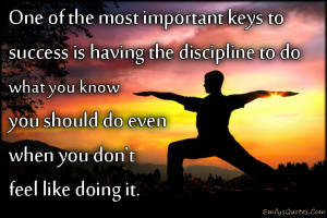 One Of The Most Important Keys To Success Is Having The Discipline To ...