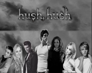 Hush, Hush Hush Hush Fan-made Wallpaper