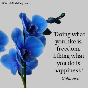 Liking What You Do Is Happiness
