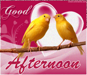 ... 11 10 13 32 02 good afternoon quote quotes afternoon good afternoon