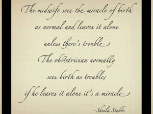 Birth is safe. Interference is Risky. ~Carla Hartley