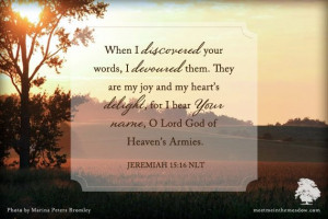 ... bear your name, O Lord God of Heaven's Armies. Jeremiah 15:16 NLT