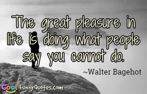 The great pleasure in life is doing what people say you cannot do.