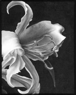 Invisible Monster& quotes by ~deathbyfire18 on deviantART