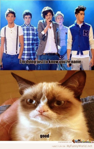 Grumpy Cat One Direction