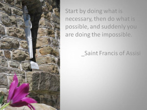 ... com.au/st_francis_of_assisi_animal_rights_quote_bag-149085312306412291