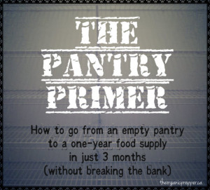 THE PANTRY PRIMER: HOW TO BUILD A ONE YEAR FOOD SUPPLY IN THREE MONTHS