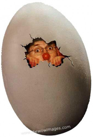 Funny Eggs Quotes - Funny Quotes about Eggs