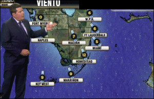 florida weather forecast in spanish funny cat gif