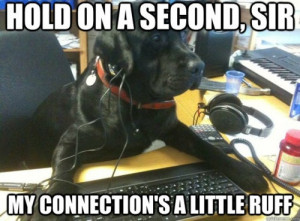 ... Dogs Memes, Tech Support, Funny Quotes, Humor Quotes, Funny Animal