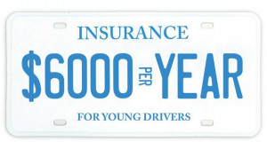 gd-web-InsurancePlate.jpg
